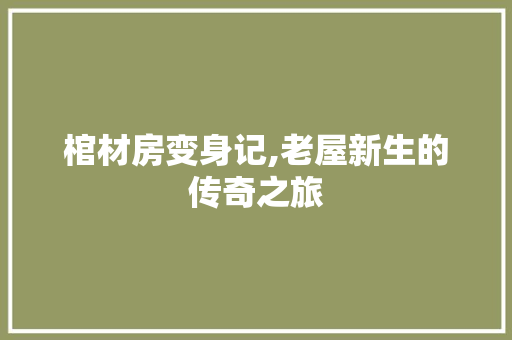 棺材房变身记,老屋新生的传奇之旅