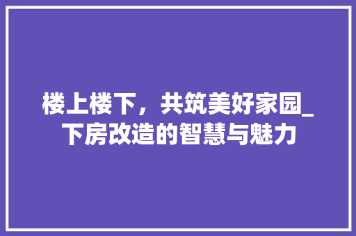 楼上楼下，共筑美好家园_下房改造的智慧与魅力