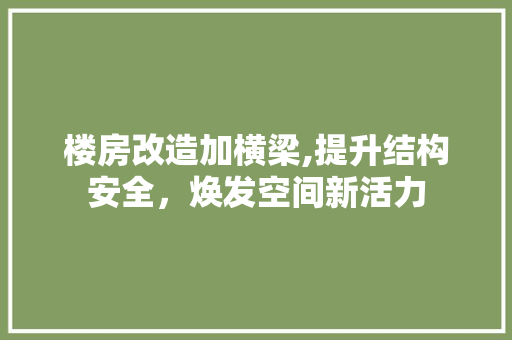 楼房改造加横梁,提升结构安全，焕发空间新活力