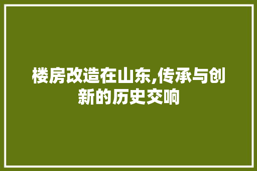 楼房改造在山东,传承与创新的历史交响