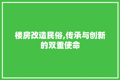 楼房改造民俗,传承与创新的双重使命