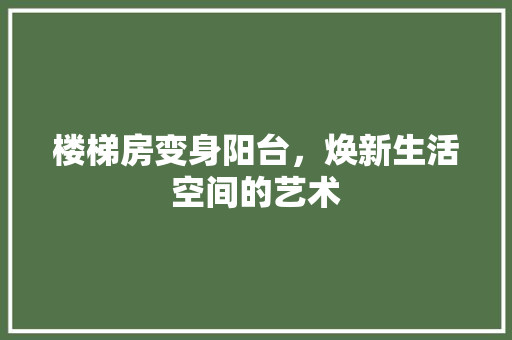 楼梯房变身阳台，焕新生活空间的艺术