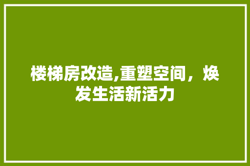 楼梯房改造,重塑空间，焕发生活新活力