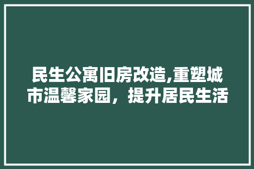 民生公寓旧房改造,重塑城市温馨家园，提升居民生活品质