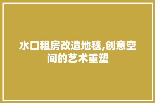 水口租房改造地毯,创意空间的艺术重塑