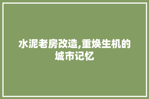 水泥老房改造,重焕生机的城市记忆