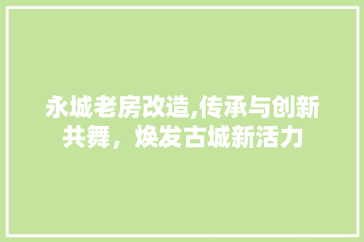 永城老房改造,传承与创新共舞，焕发古城新活力