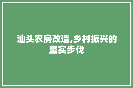 汕头农房改造,乡村振兴的坚实步伐