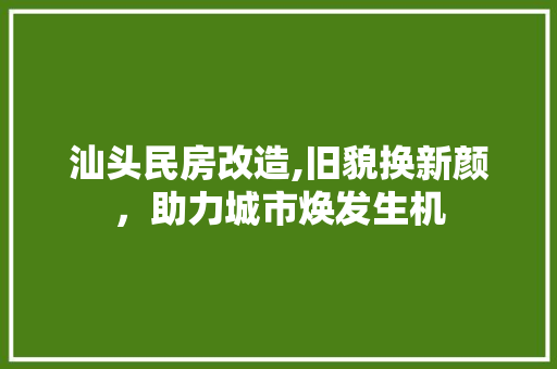 汕头民房改造,旧貌换新颜，助力城市焕发生机