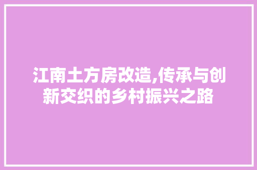 江南土方房改造,传承与创新交织的乡村振兴之路