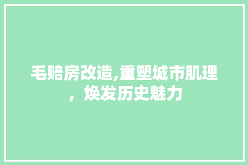 毛赔房改造,重塑城市肌理，焕发历史魅力