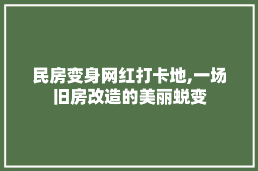 民房变身网红打卡地,一场旧房改造的美丽蜕变