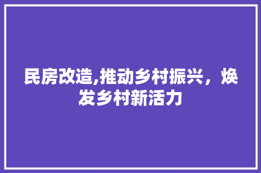 民房改造,推动乡村振兴，焕发乡村新活力