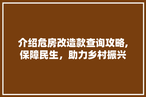 介绍危房改造款查询攻略,保障民生，助力乡村振兴