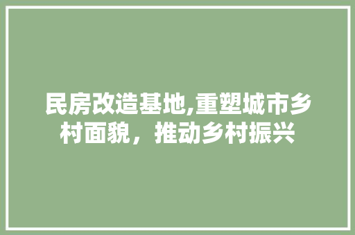 民房改造基地,重塑城市乡村面貌，推动乡村振兴