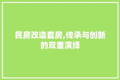 民房改造套房,传承与创新的双重演绎