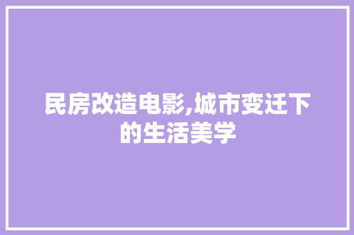 民房改造电影,城市变迁下的生活美学