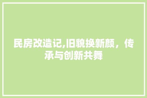 民房改造记,旧貌换新颜，传承与创新共舞
