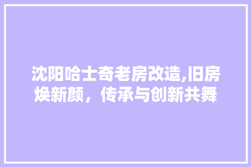 沈阳哈士奇老房改造,旧房焕新颜，传承与创新共舞