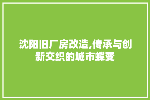 沈阳旧厂房改造,传承与创新交织的城市蝶变