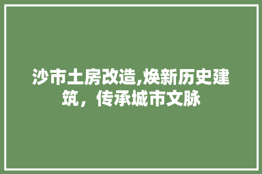 沙市土房改造,焕新历史建筑，传承城市文脉