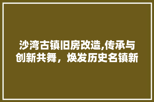 沙湾古镇旧房改造,传承与创新共舞，焕发历史名镇新活力