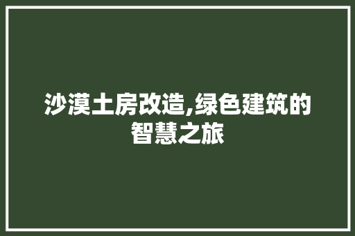 沙漠土房改造,绿色建筑的智慧之旅