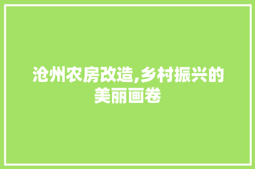 沧州农房改造,乡村振兴的美丽画卷