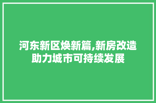 河东新区焕新篇,新房改造助力城市可持续发展