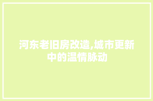 河东老旧房改造,城市更新中的温情脉动