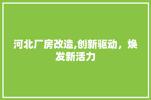 河北厂房改造,创新驱动，焕发新活力