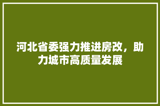 河北省委强力推进房改，助力城市高质量发展