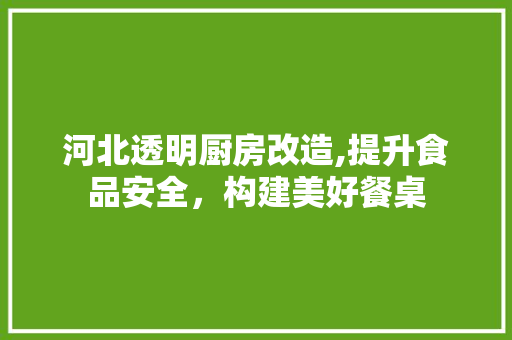 河北透明厨房改造,提升食品安全，构建美好餐桌