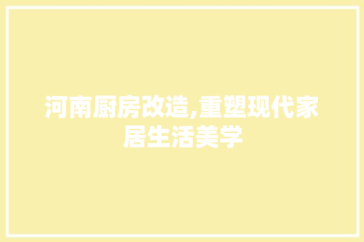 河南厨房改造,重塑现代家居生活美学