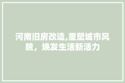 河南旧房改造,重塑城市风貌，焕发生活新活力