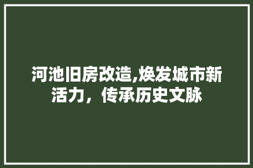 河池旧房改造,焕发城市新活力，传承历史文脉