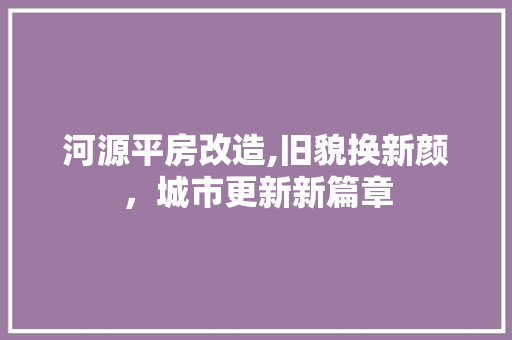 河源平房改造,旧貌换新颜，城市更新新篇章