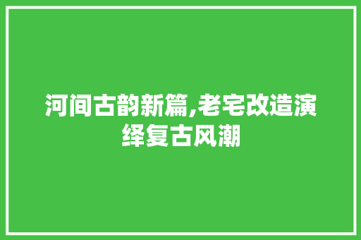 河间古韵新篇,老宅改造演绎复古风潮