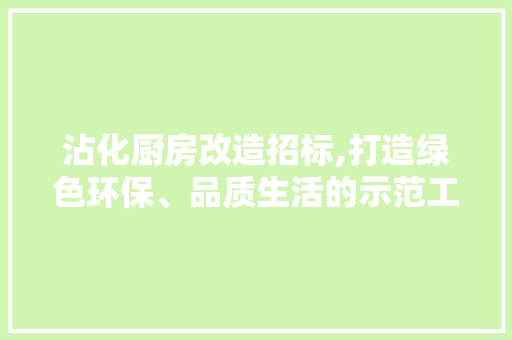 沾化厨房改造招标,打造绿色环保、品质生活的示范工程