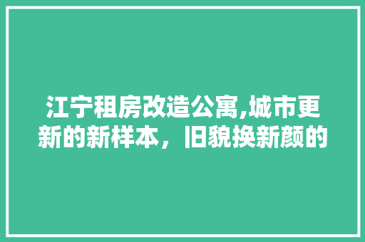 江宁租房改造公寓,城市更新的新样本，旧貌换新颜的居住奇迹