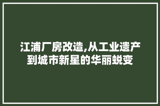 江浦厂房改造,从工业遗产到城市新星的华丽蜕变