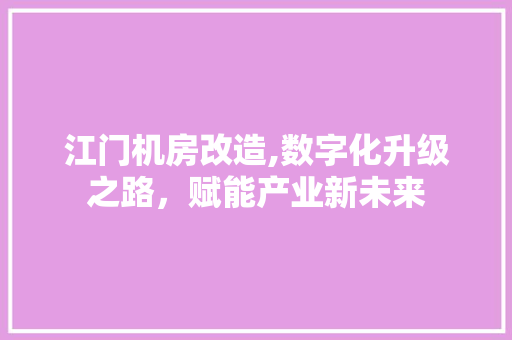 江门机房改造,数字化升级之路，赋能产业新未来 装修材料