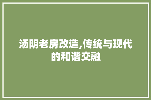 汤阴老房改造,传统与现代的和谐交融