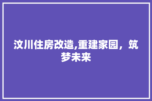 汶川住房改造,重建家园，筑梦未来