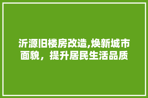 沂源旧楼房改造,焕新城市面貌，提升居民生活品质