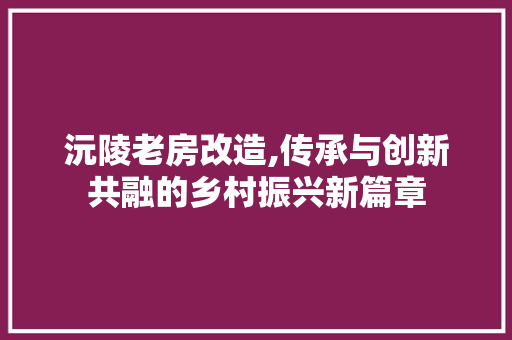 沅陵老房改造,传承与创新共融的乡村振兴新篇章