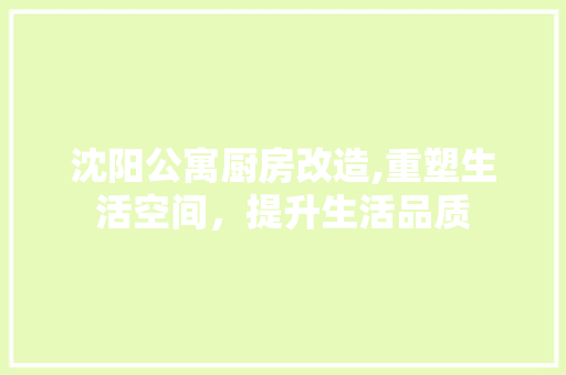 沈阳公寓厨房改造,重塑生活空间，提升生活品质
