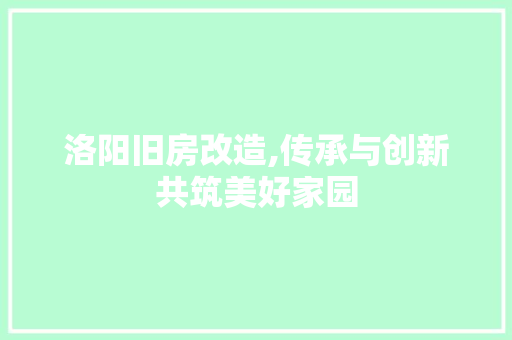 洛阳旧房改造,传承与创新共筑美好家园