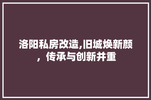 洛阳私房改造,旧城焕新颜，传承与创新并重 隔断设计