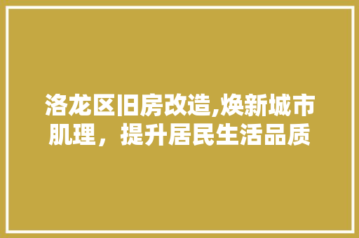 洛龙区旧房改造,焕新城市肌理，提升居民生活品质